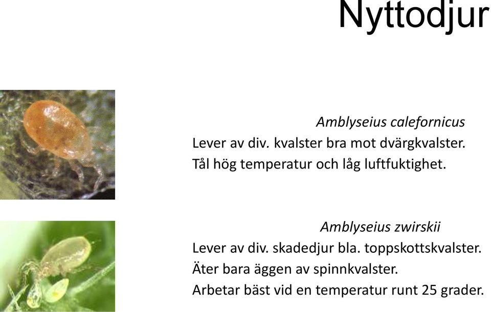 Tål hög temperatur och låg luftfuktighet.