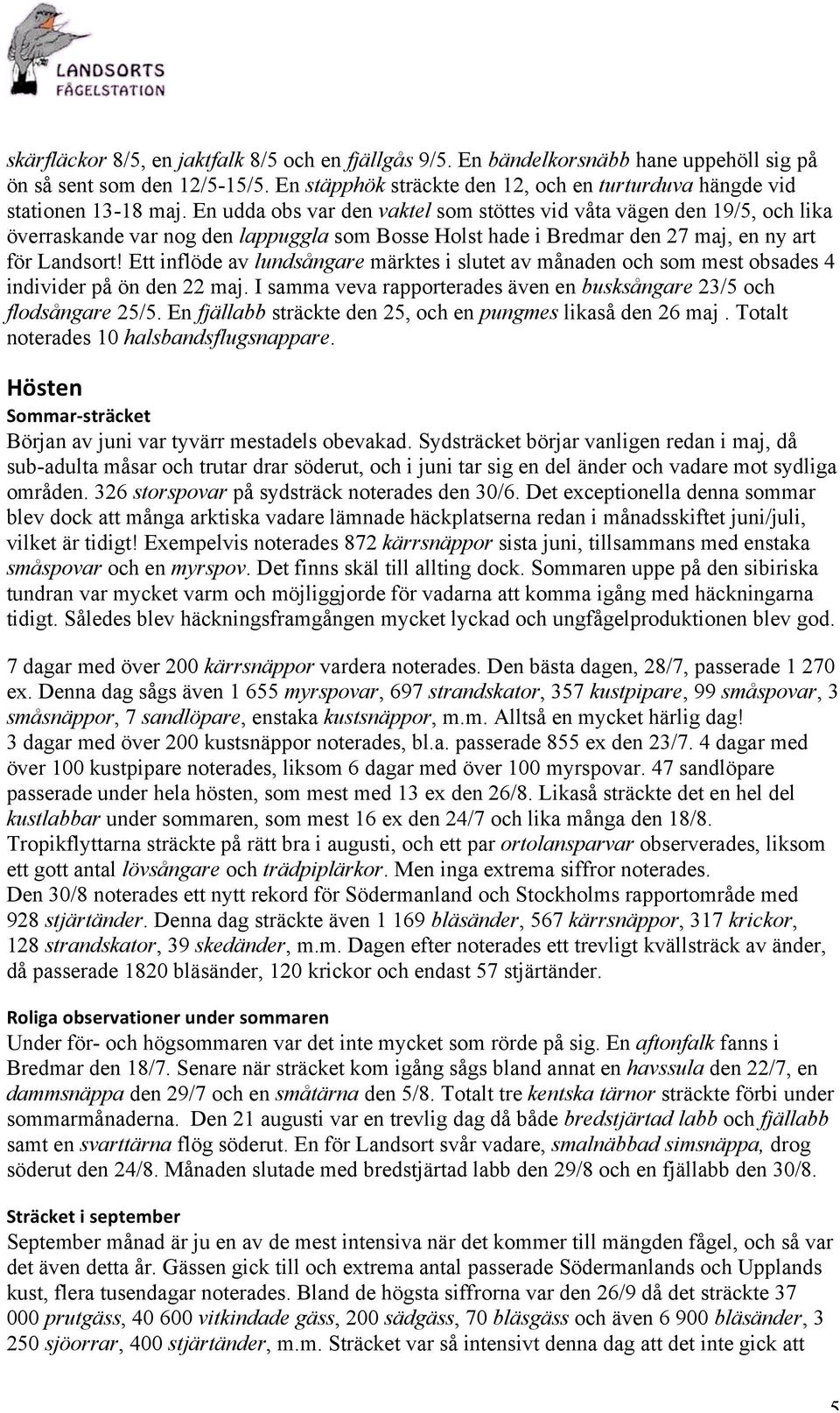 En udda obs var den vaktel som stöttes vid våta vägen den 19/5, och lika överraskande var nog den lappuggla som Bosse Holst hade i Bredmar den 27 maj, en ny art för Landsort!