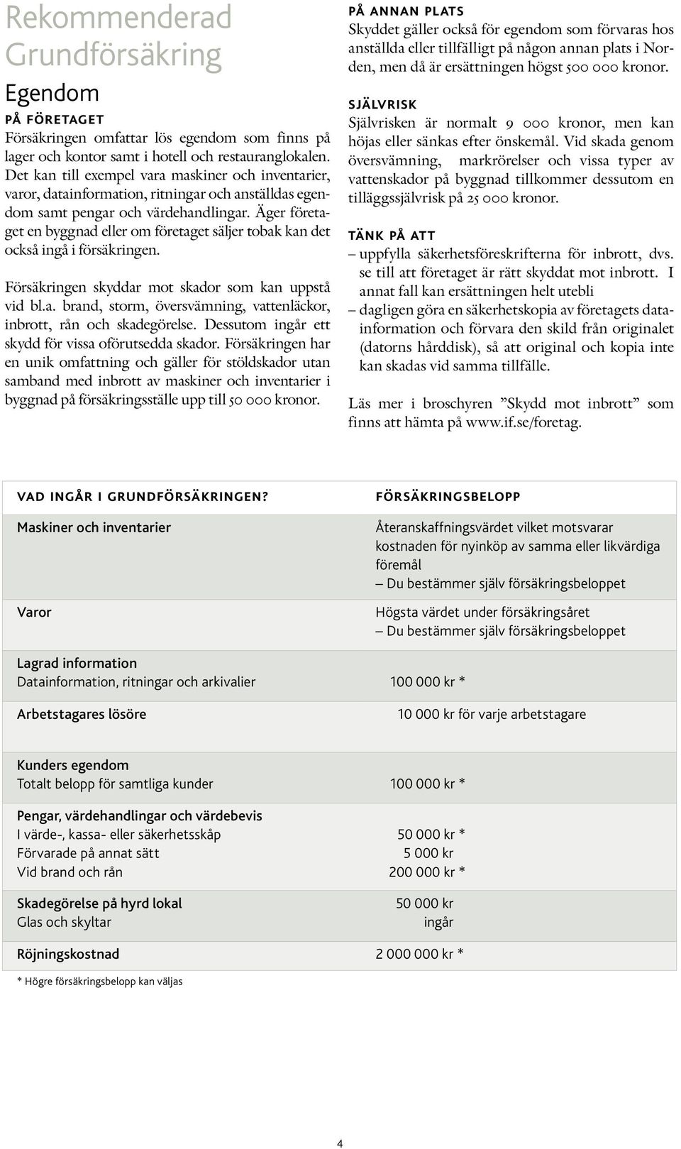 Äger företaget en byggnad eller om företaget säljer tobak kan det också ingå i försäkringen. Försäkringen skyddar mot skador som kan uppstå vid bl.a. brand, storm, översvämning, vattenläckor, inbrott, rån och skadegörelse.