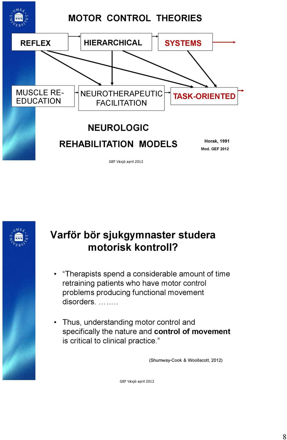 Therapists spend a considerable amount of time retraining patients who have motor control problems producing functional movement