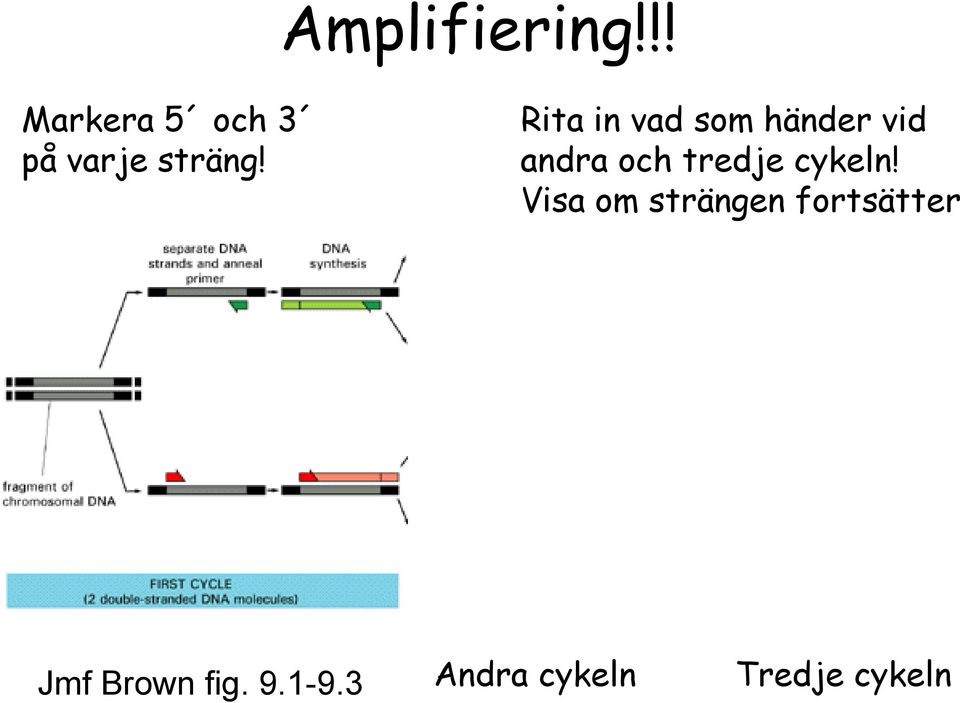 Rita in vad som händer vid andra och tredje