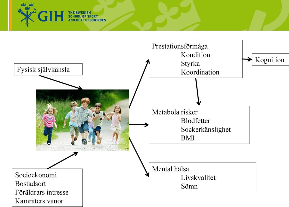 Blodfetter Sockerkänslighet BMI Socioekonomi