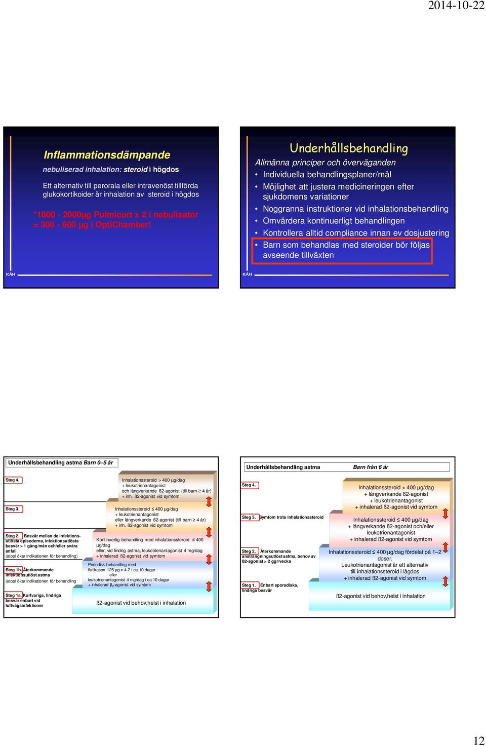 Underhållsbehandling Allmänna principer och överväganden Individuella behandlingsplaner/mål Möjlighet att justera medicineringen efter sjukdomens variationer Noggranna instruktioner vid