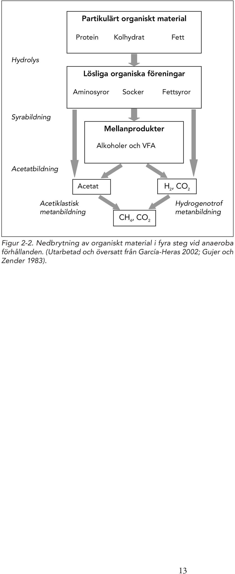 metanbildning Acetat CH 4, CO 2 H 2, CO 2 Hydrogenotrof metanbildning Figur 2-2.