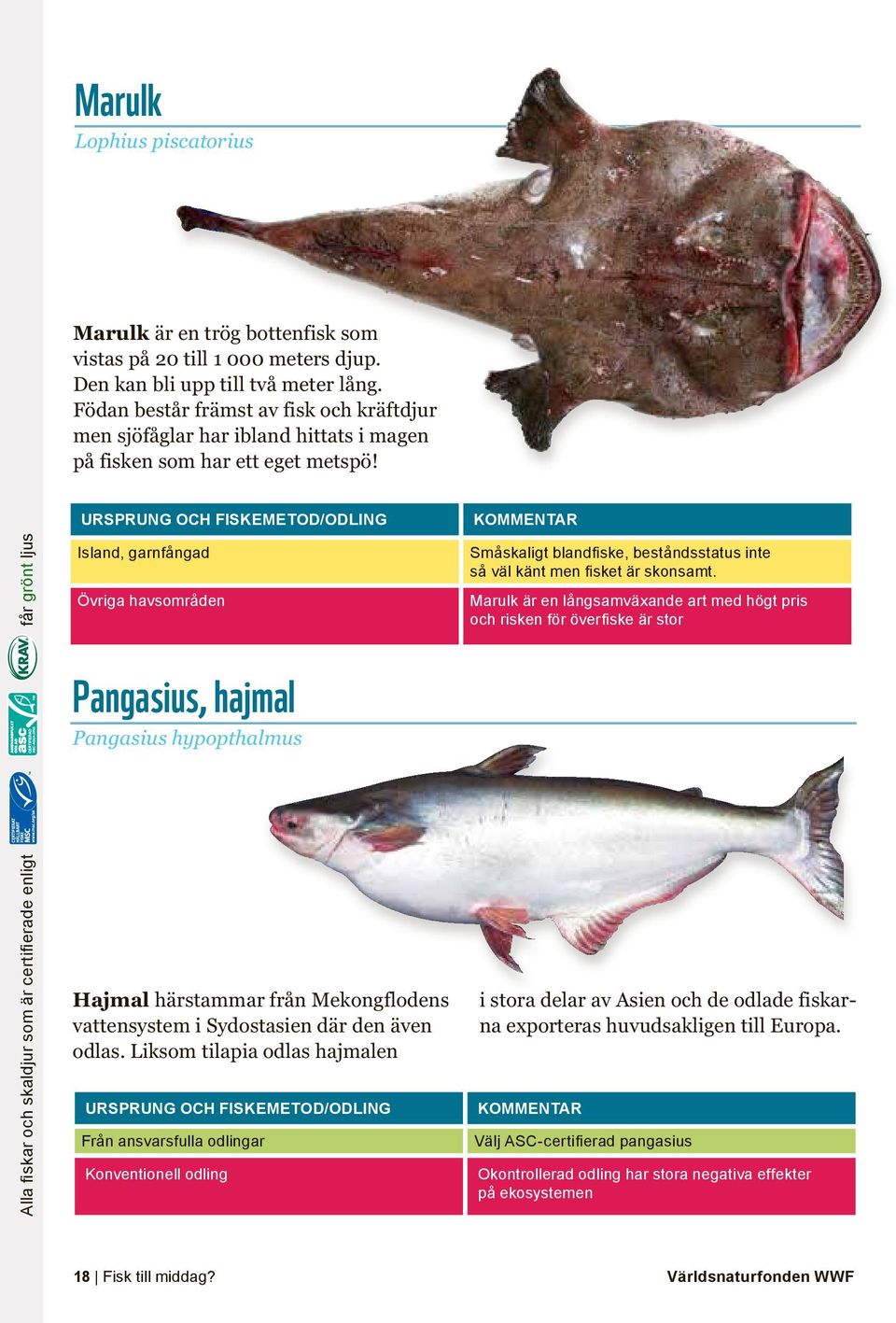 Alla fiskar och skaldjur som är certifierade enligt får grönt ljus Island, garnfångad Övriga havsområden Pangasius, hajmal Pangasius hypopthalmus Hajmal härstammar från Mekongflodens vattensystem i