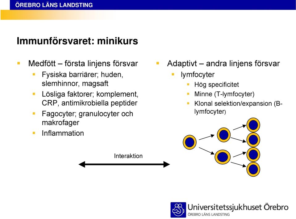 Fagocyter; granulocyter och makrofager Inflammation Adaptivt andra linjens försvar