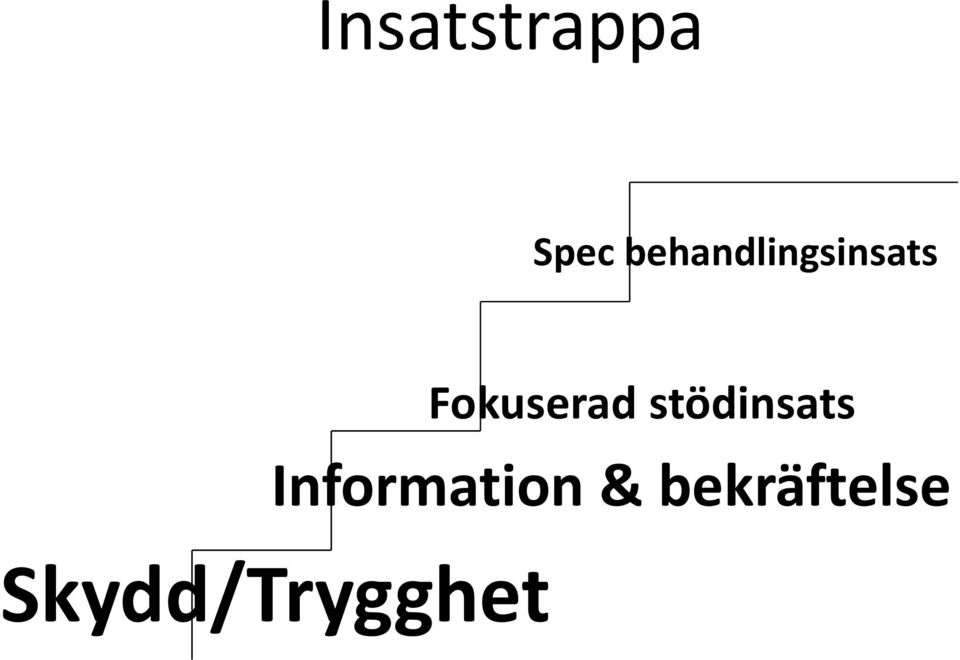 Fokuserad stödinsats