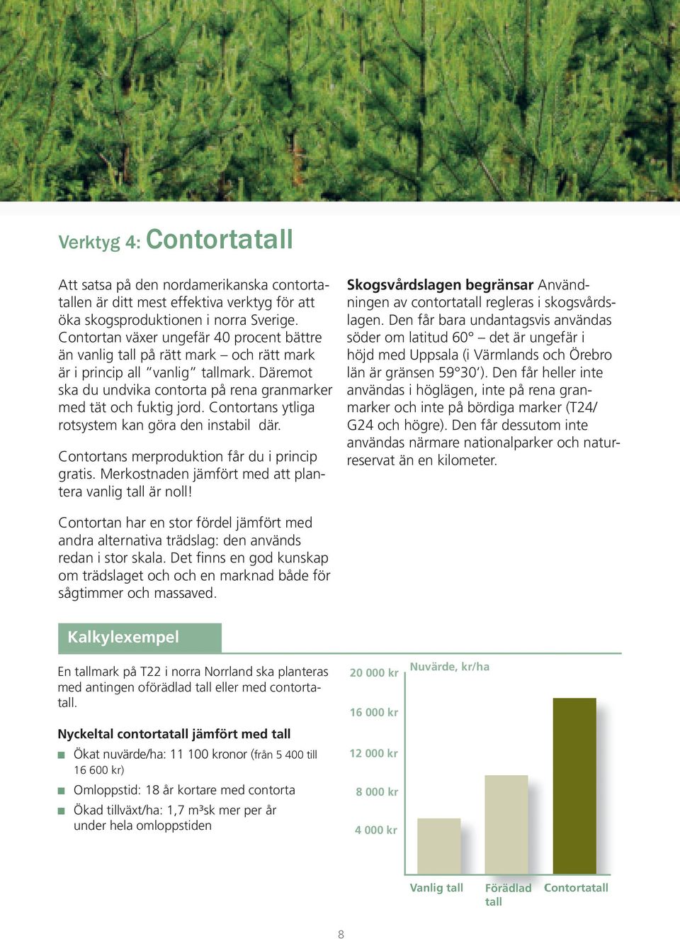 Contortans ytliga rotsystem kan göra den instabil där. Contortans merproduktion får du i princip gratis. Merkostnaden jämfört med att plantera vanlig tall är noll!