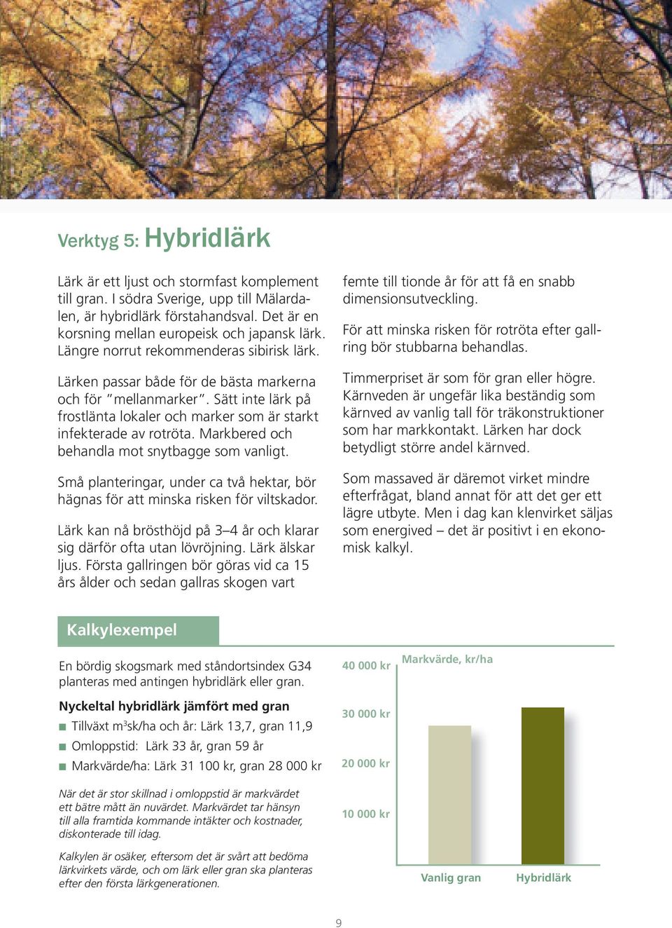 Markbered och behandla mot snytbagge som vanligt. Små planteringar, under ca två hektar, bör hägnas för att minska risken för viltskador.