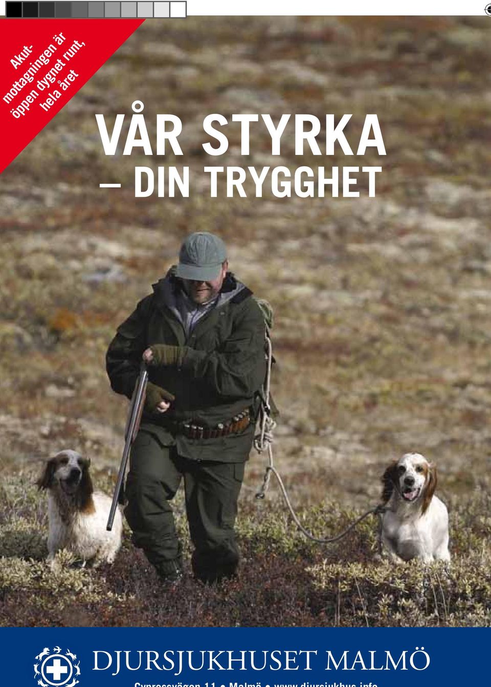 året Vår styrka din