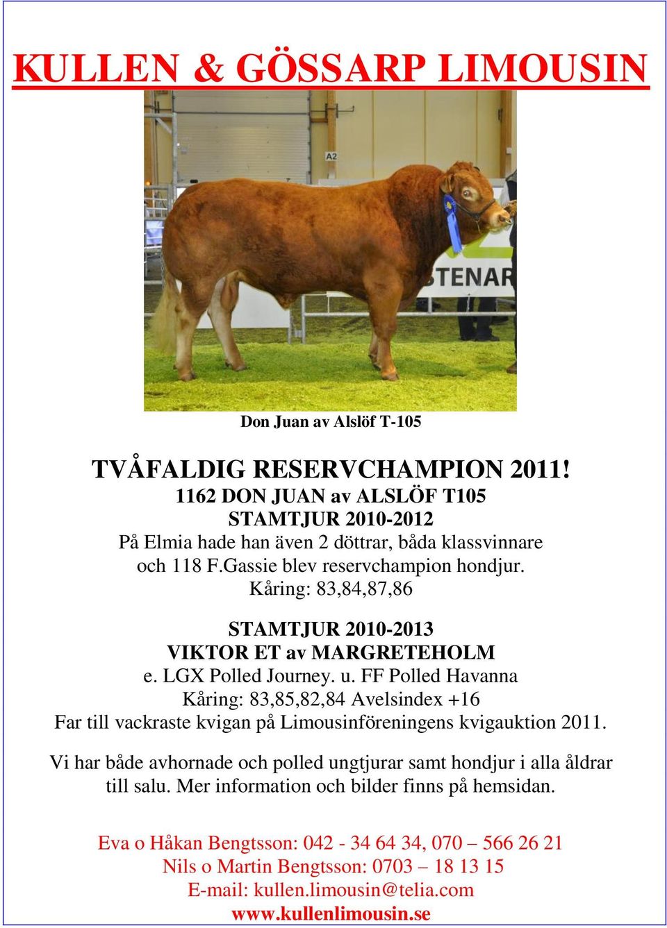 Kåring: 83,84,87,86 STAMTJUR 2010-2013 VIKTOR ET av MARGRETEHOLM e. LGX Polled Journey. u.