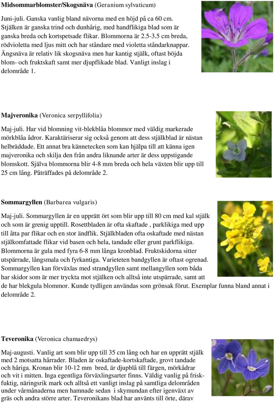 5 cm breda, rödvioletta med ljus mitt och har ståndare med violetta ståndarknappar.