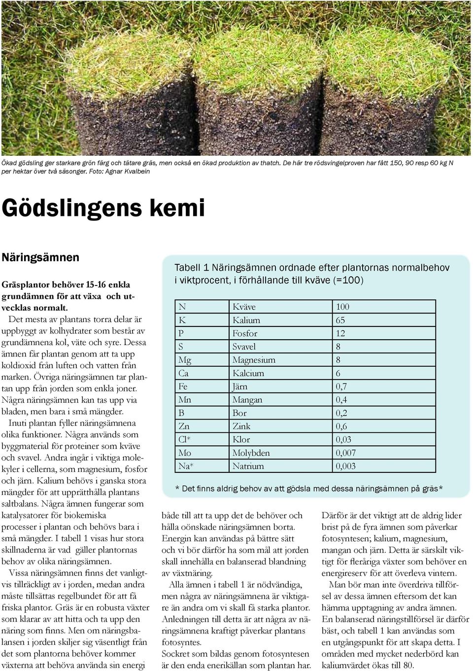 Det mesta av plantans torra delar är uppbyggt av kolhydrater som består av grundämnena kol, väte och syre. Dessa ämnen får plantan genom att ta upp koldioxid från luften och vatten från marken.