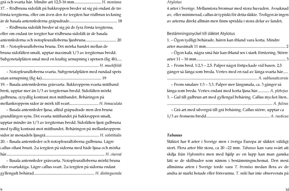 .. 18 Rödbruna sidofält breder ut sig på de fyra första tergiterna, eller om endast tre tergiter har rödbruna sidofält är de basala antennlederna och notopleuralloberna ljusbruna... 20 18.