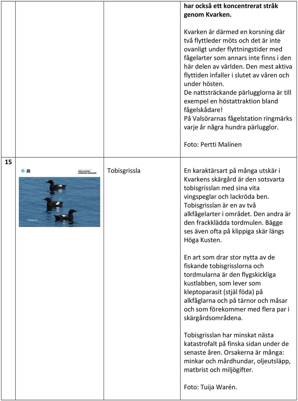 Den mest aktiva flyttiden infaller i slutet av våren och under hösten. De nattsträckande pärlugglorna är till exempel en höstattraktion bland fågelskådare!