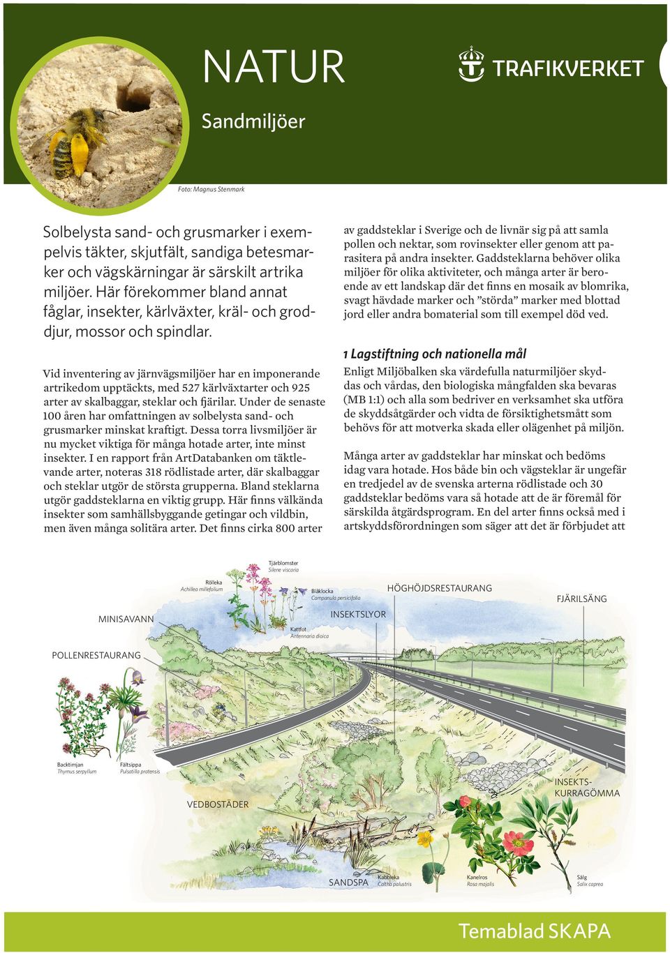 av gaddsteklar i Sverige och de livnär sig på att samla pollen och nektar, som rovinsekter eller genom att parasitera på andra insekter.