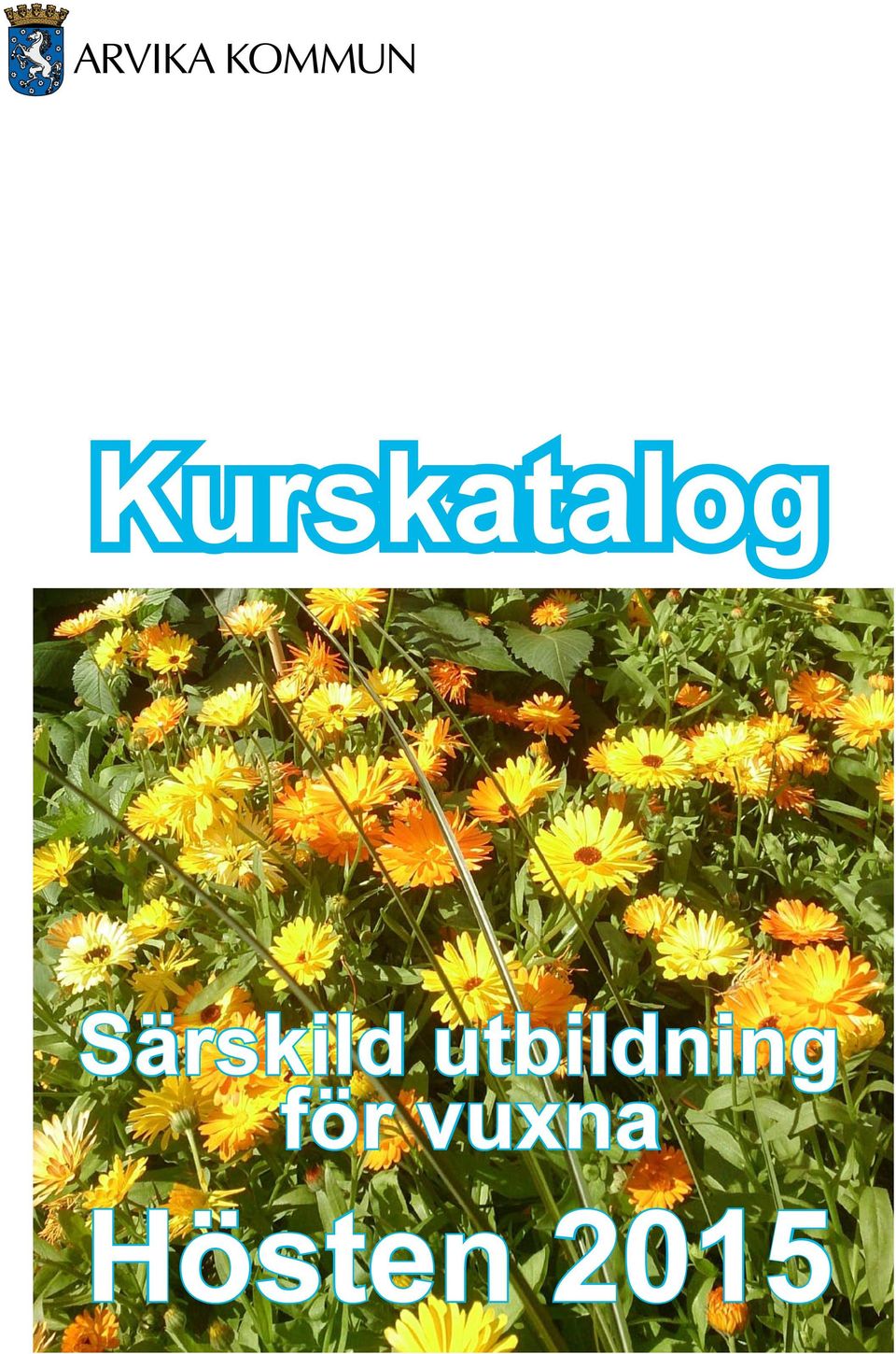 utbildning