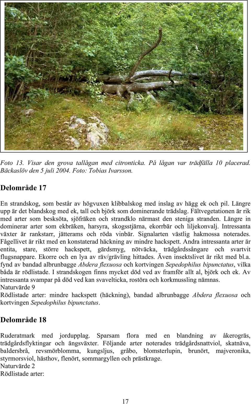 Fältvegetationen är rik med arter som besksöta, sjöfräken och strandklo närmast den steniga stranden. Längre in dominerar arter som ekbräken, harsyra, skogsstjärna, ekorrbär och liljekonvalj.