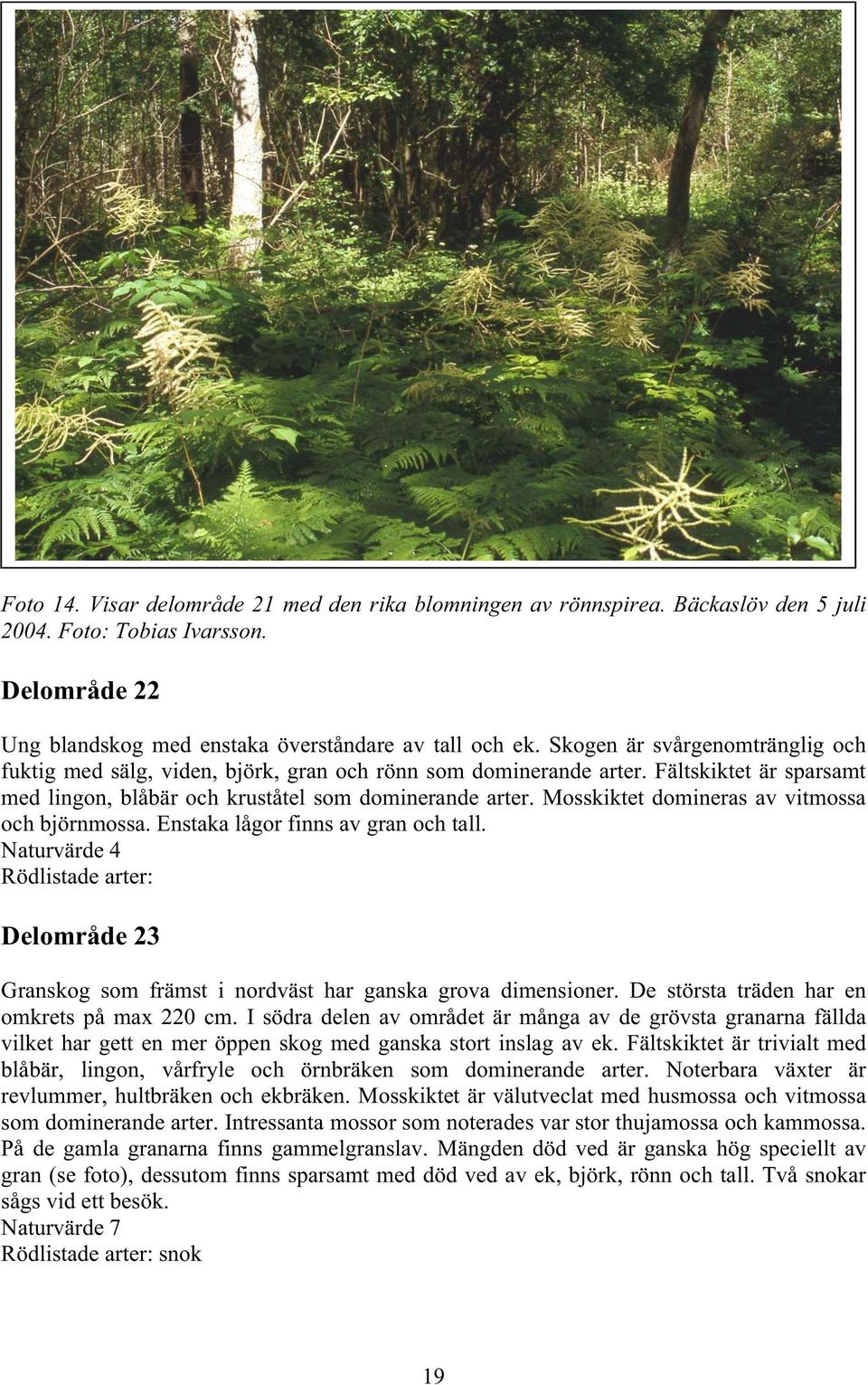 Mosskiktet domineras av vitmossa och björnmossa. Enstaka lågor finns av gran och tall. Naturvärde 4 Rödlistade arter: Delområde 23 Granskog som främst i nordväst har ganska grova dimensioner.