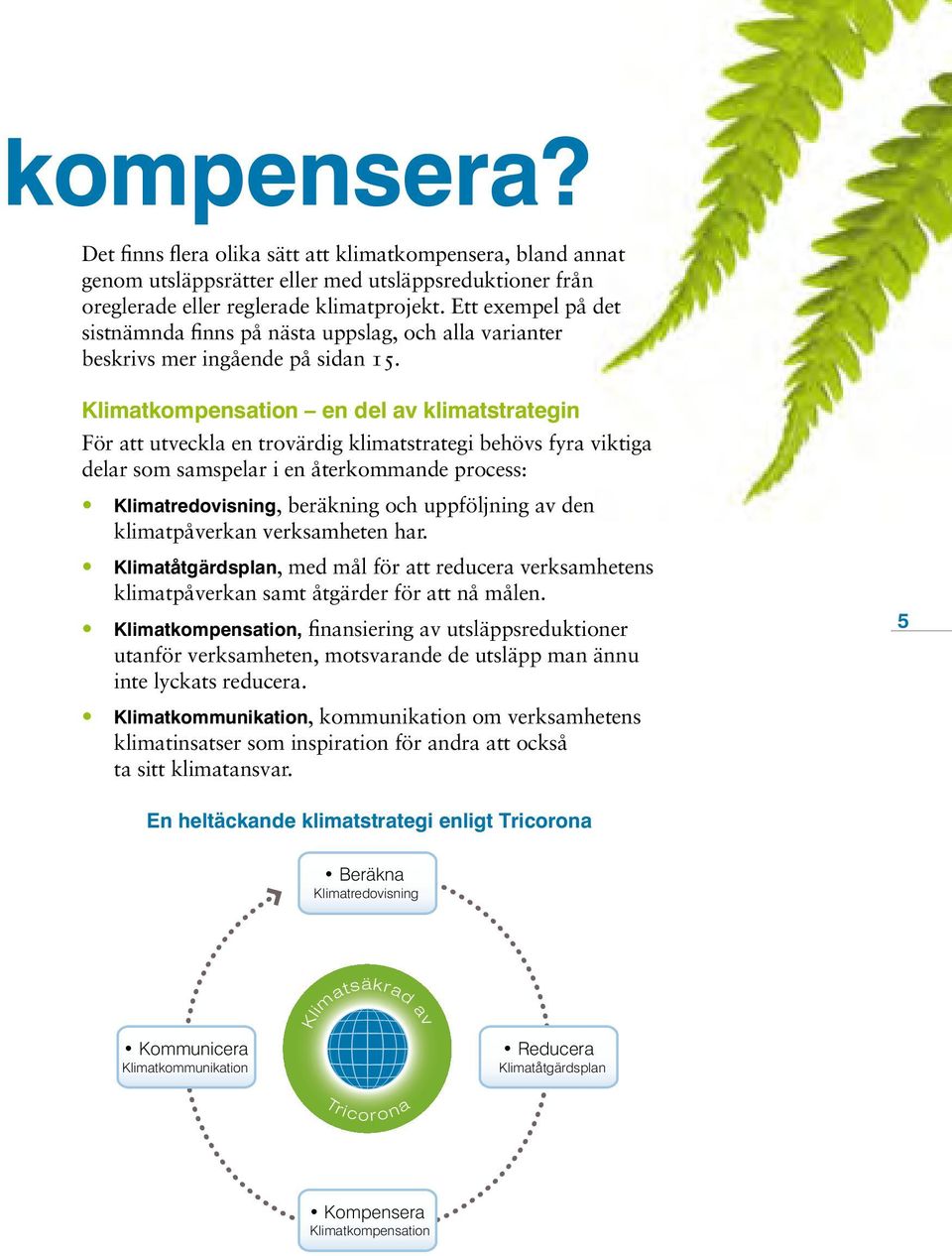 Klimatkompensation en del av klimatstrategin För att utveckla en trovärdig klimatstrategi behövs fyra viktiga delar som samspelar i en återkommande process: Klimatredovisning, beräkning och