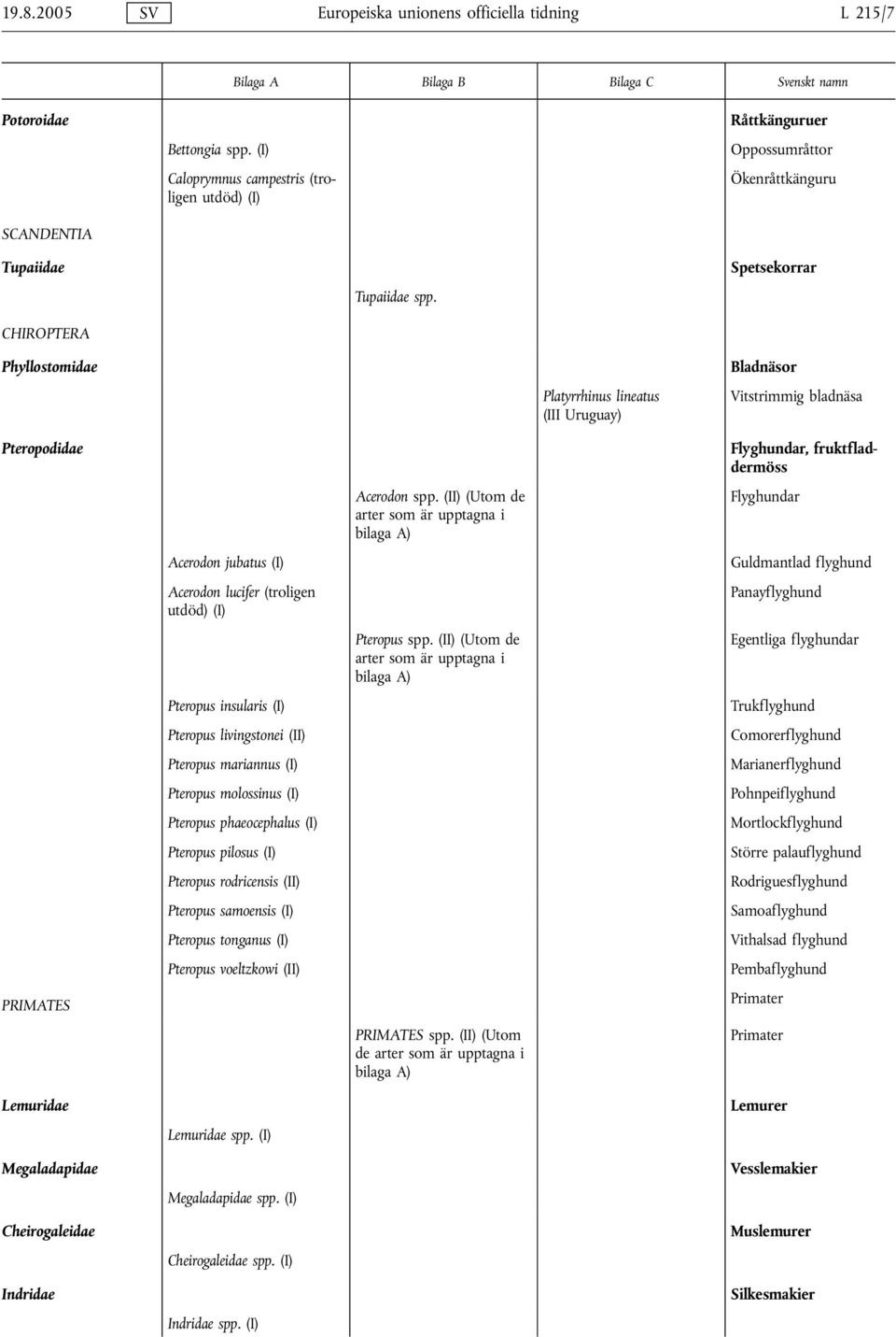 Spetsekorrar Phyllostomidae Platyrrhinus lineatus (III Uruguay) Bladnäsor Vitstrimmig bladnäsa Pteropodidae PRIMATES Lemuridae Megaladapidae Cheirogaleidae Indridae Acerodon jubatus (I) Acerodon