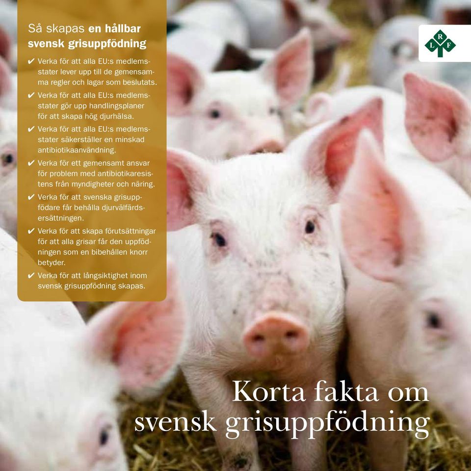 Verka för ett gemensamt ansvar för problem med antibiotikaresistens från myndigheter och näring.