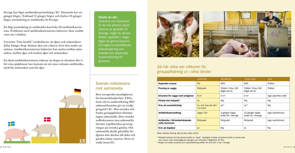 Uttrycket One health symboliserar att djurs och människors hälsa hänger ihop. Smittas den ene riskerar även den andre att smittas.