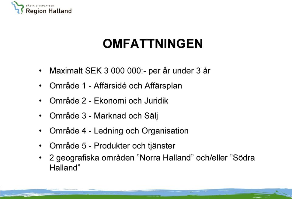 Marknad och Sälj Område 4 - Ledning och Organisation Område 5 -