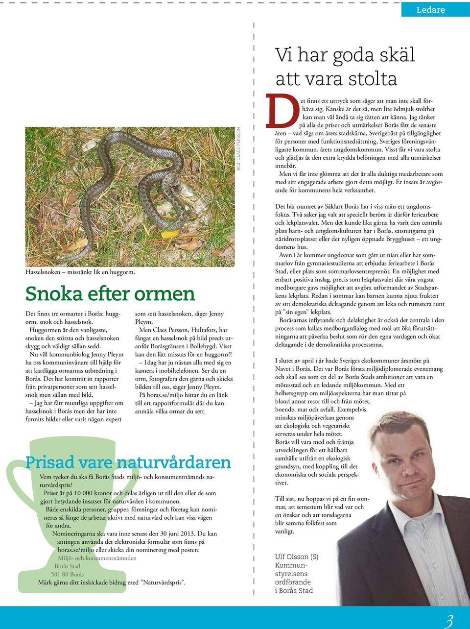 Nu vill kommunbiolog Jenny Pleym ha oss kommuninvånare till hjälp för att kartlägga ormarnas utbredning i Borås.