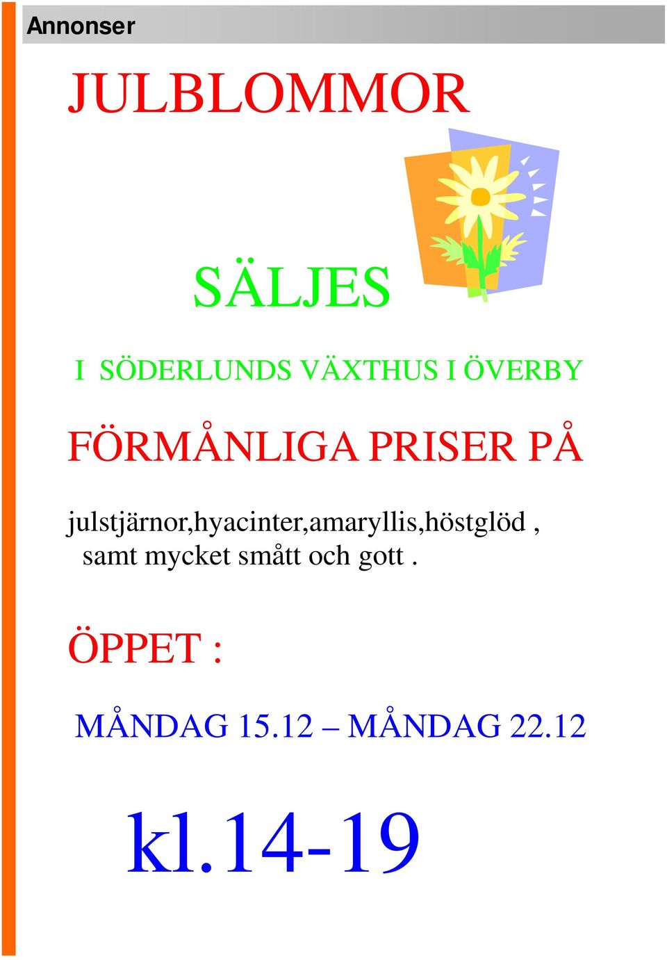 julstjärnor,hyacinter,amaryllis,höstglöd, samt