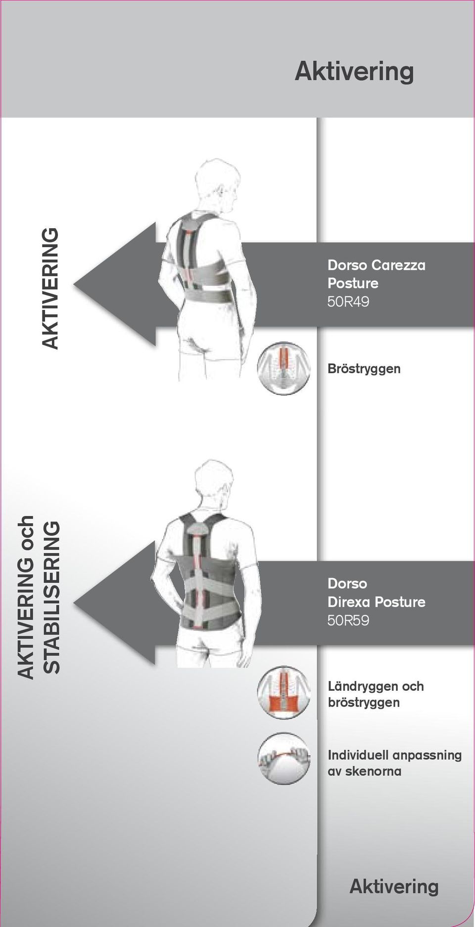 Dorso Direxa Posture 50R59 Ländryggen och