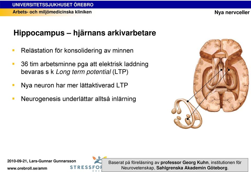 har mer lättaktiverad LTP Neurogenesis underlättar alltså inlärning Baserat på