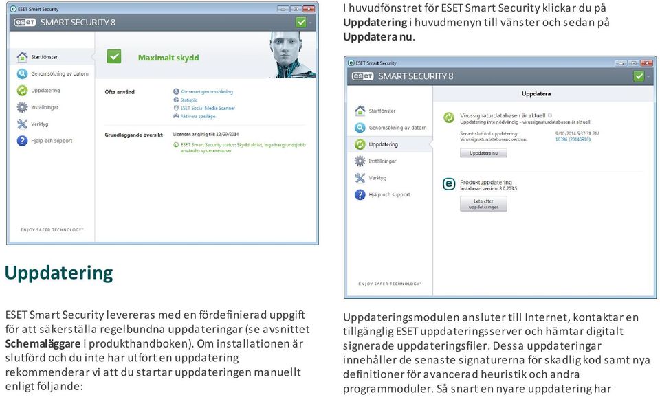 Om installationen är slutförd och du inte har utfört en uppdatering rekommenderar vi att du startar uppdateringen manuellt enligt följande: Uppdateringsmodulen ansluter till Internet,