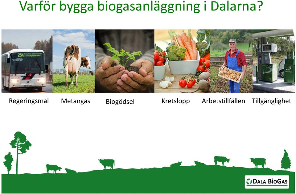 Regeringsmål Metangas