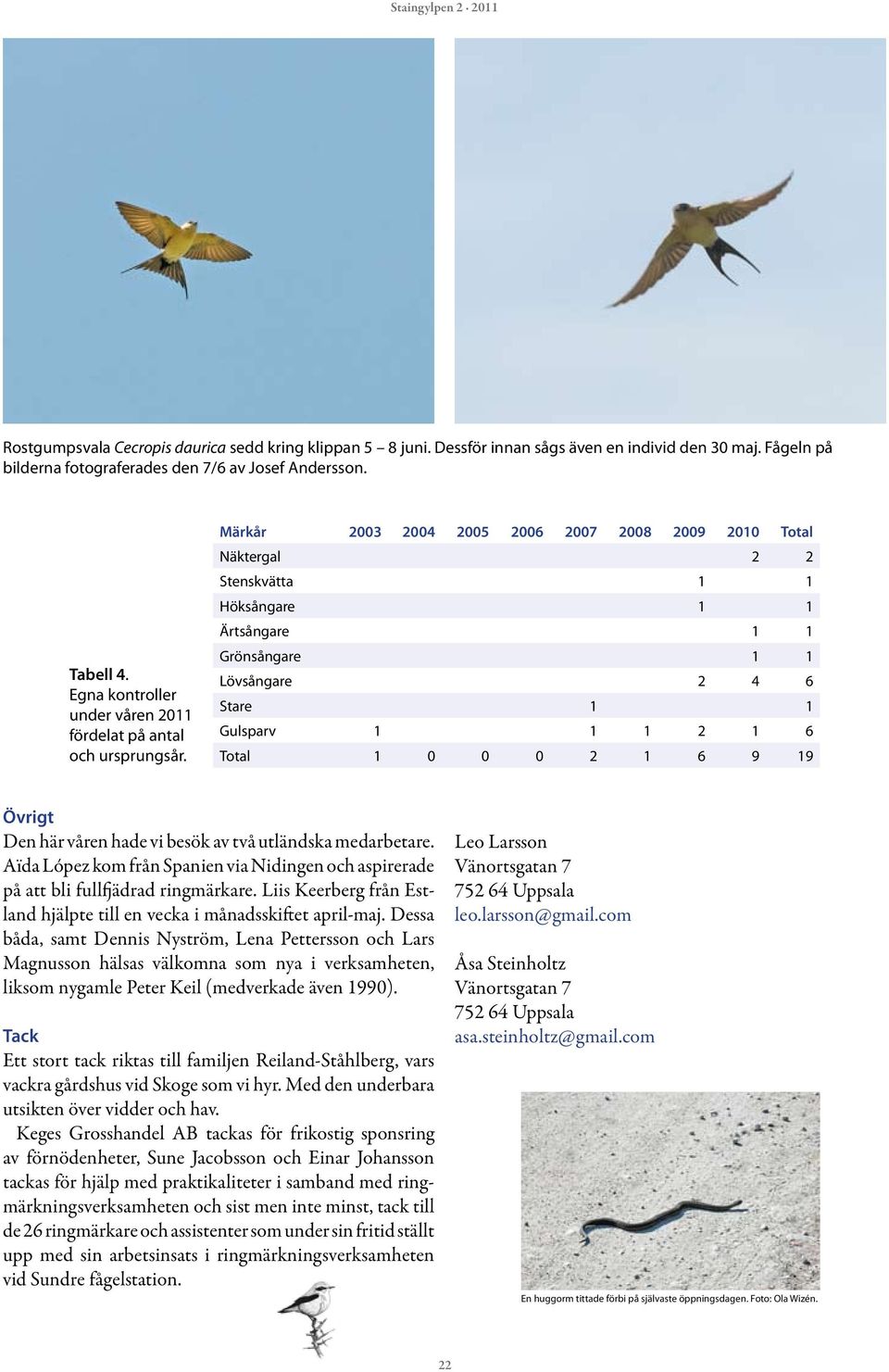 Märkår 2003 2004 2005 2006 2007 2008 2009 2010 Total Näktergal 2 2 Stenskvätta 1 1 Höksångare 1 1 Ärtsångare 1 1 Grönsångare 1 1 Lövsångare 2 4 6 Stare 1 1 Gulsparv 1 1 1 2 1 6 Total 1 0 0 0 2 1 6 9