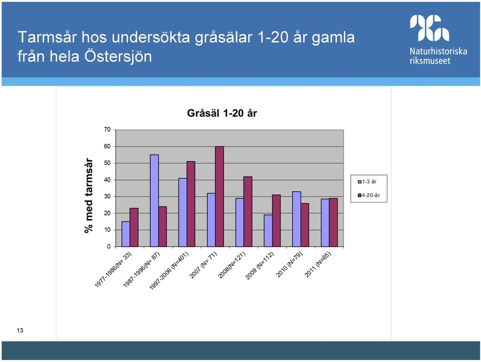 gråsälar 1-20 år