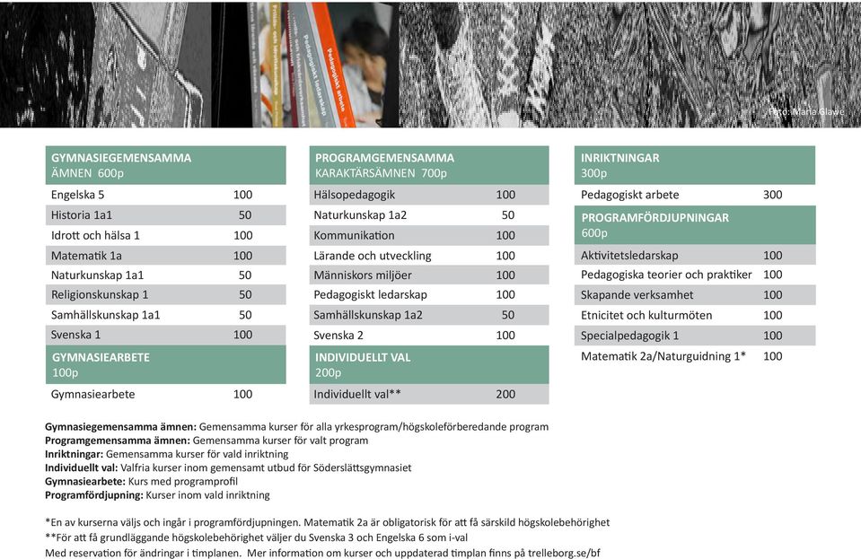 ledarskap 100 Samhällskunskap 1a2 50 Svenska 2 100 INDIVIDUELLT VAL 200p Individuellt val** 200 INRIKTNINGAR 300p Pedagogiskt arbete 300 PROGRAMFÖRDJUPNINGAR 600p Aktivitetsledarskap 100 Pedagogiska