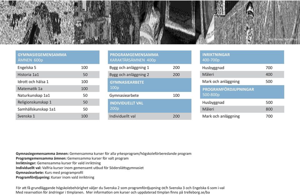 Husbyggnad 700 Måleri 400 Mark och anläggning 500 PROGRAMFÖRDJUPNINGAR 500-800p Husbyggnad 500 Måleri 800 Mark och anläggning 700 Gymnasiegemensamma ämnen: Gemensamma kurser för alla