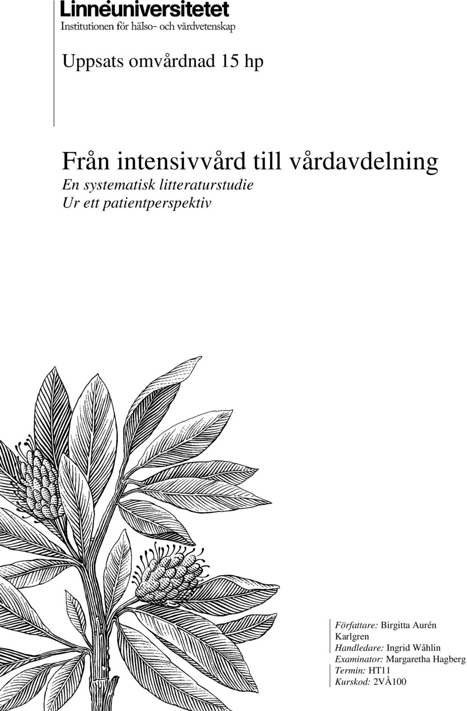 patientperspektiv Författare: Birgitta Aurén Karlgren