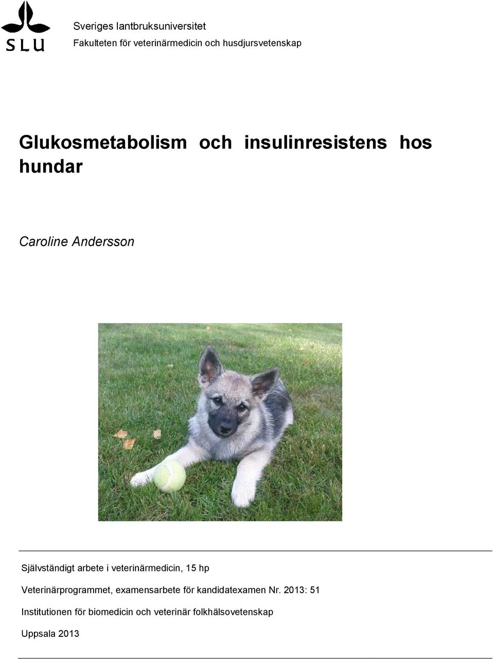 arbete i veterinärmedicin, 15 hp Veterinärprogrammet, examensarbete för