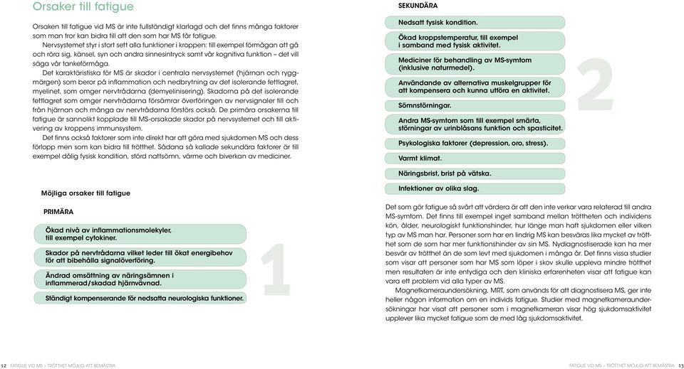 Det karaktäristiska för MS är skador i centrala nervsystemet (hjärnan och ryggmärgen) som beror på inflammation och nedbrytning av det isolerande fettlagret, myelinet, som omger nervtrådarna