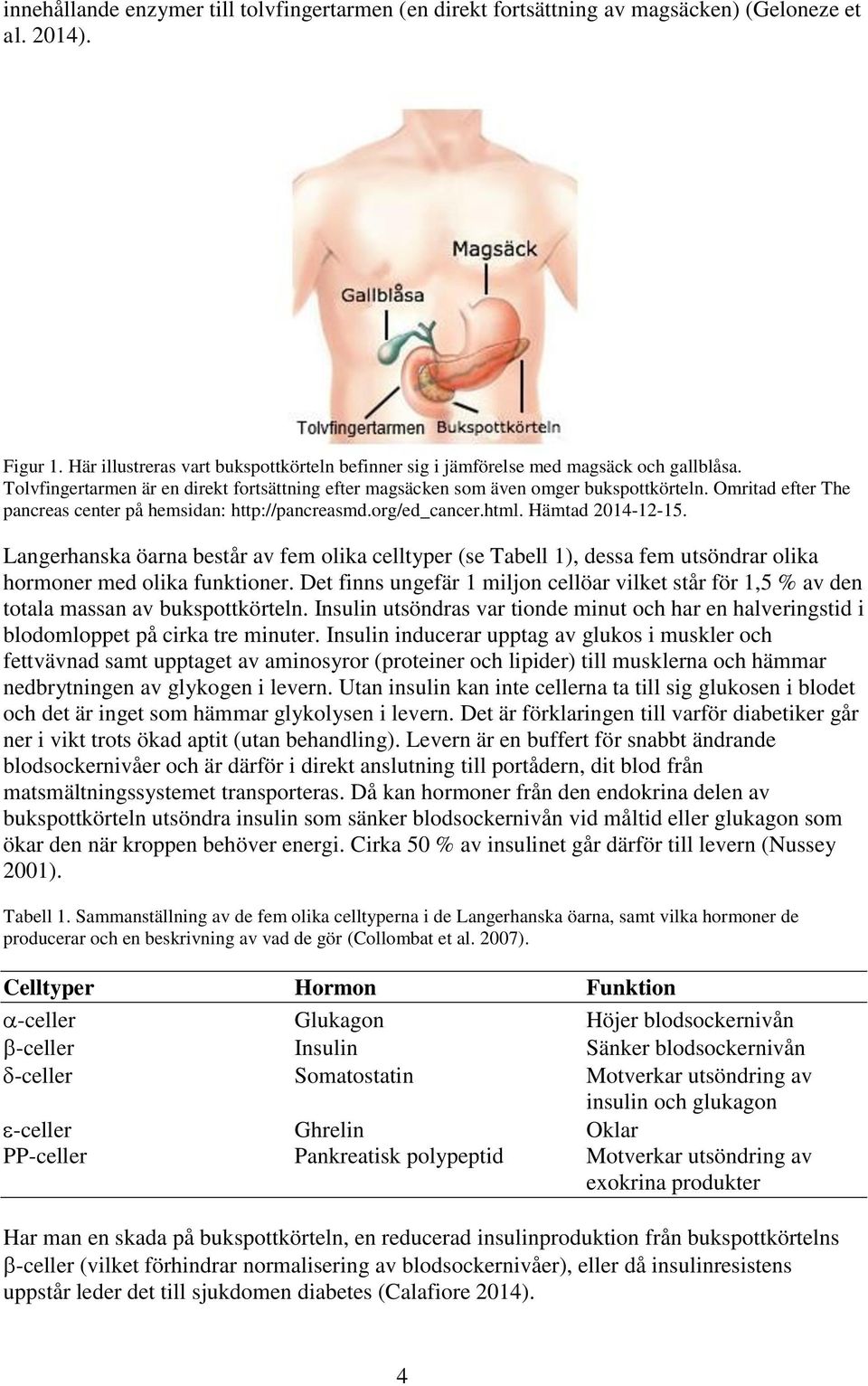 Omritad efter The pancreas center på hemsidan: http://pancreasmd.org/ed_cancer.html. Hämtad 2014-12-15.