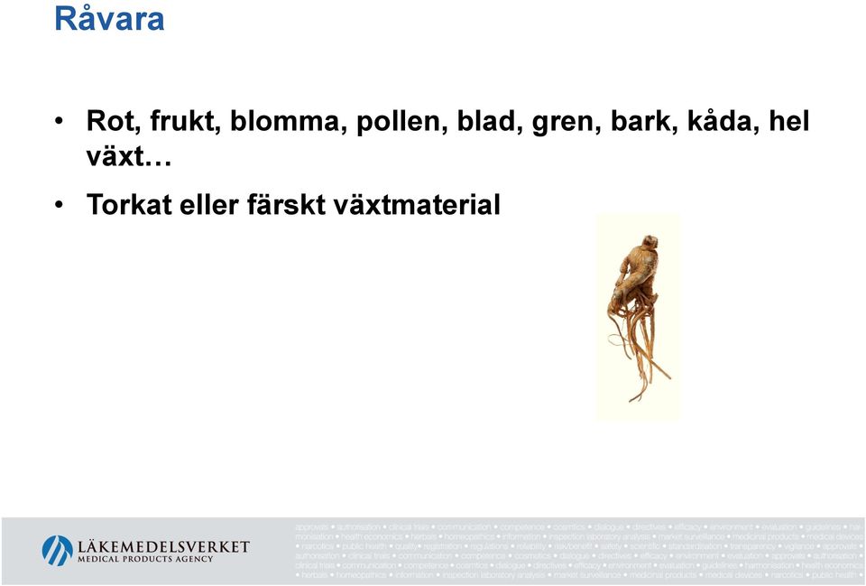 gren, bark, kåda, hel