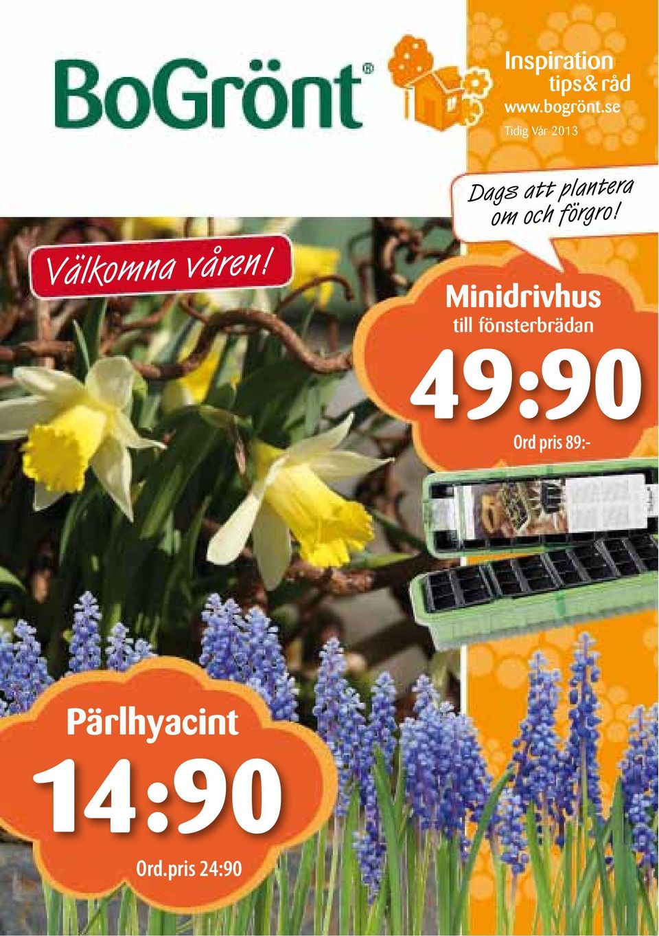 Dags att plantera om och förgro!