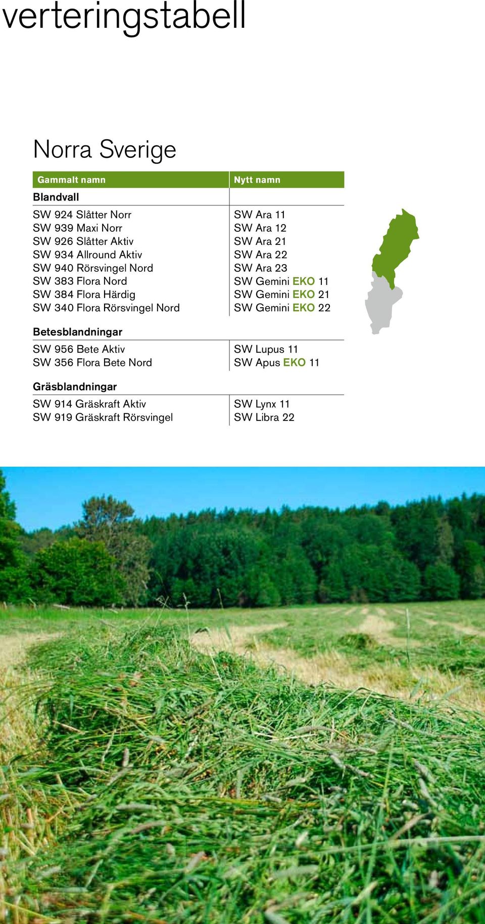 Aktiv SW 356 Flora Bete Nord Gräsblandningar SW 914 Gräskraft Aktiv SW 919 Gräskraft Rörsvingel Nytt namn SW Ara 11 SW Ara 12