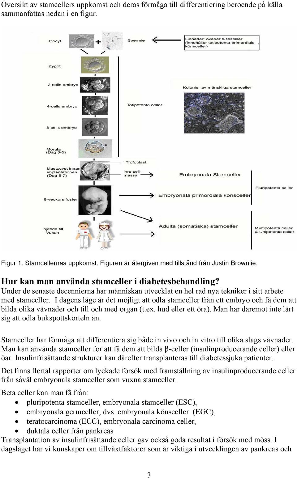 Under de senaste decennierna har människan utvecklat en hel rad nya tekniker i sitt arbete med stamceller.