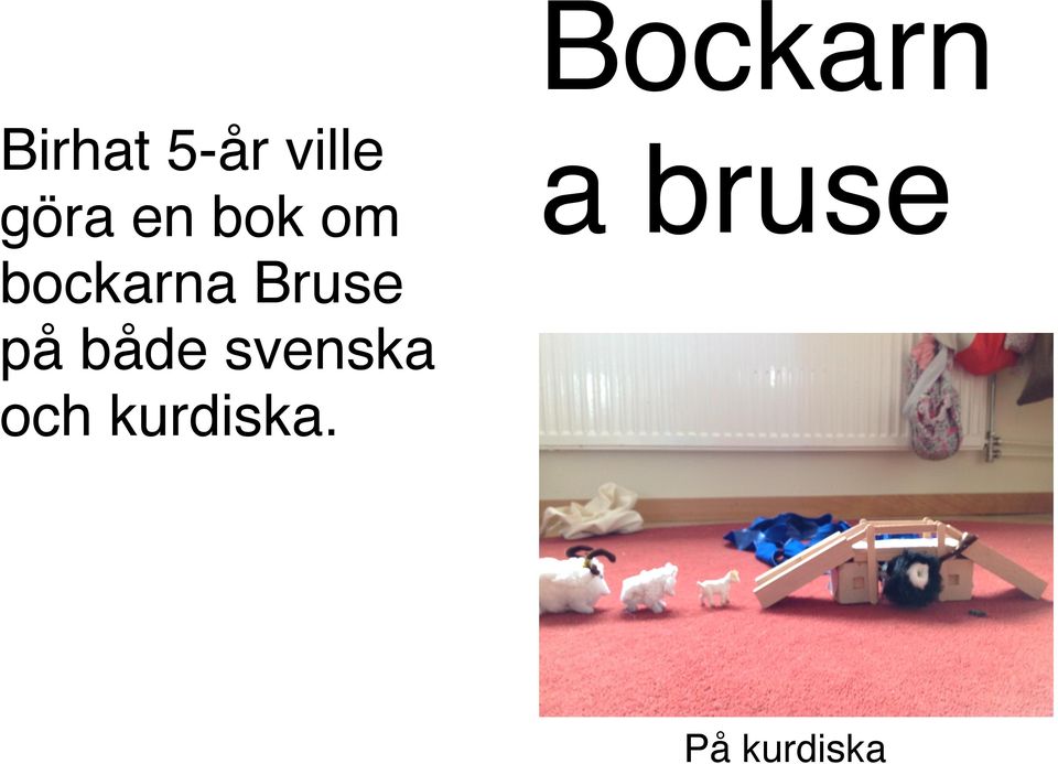 bockarna Bruse på både