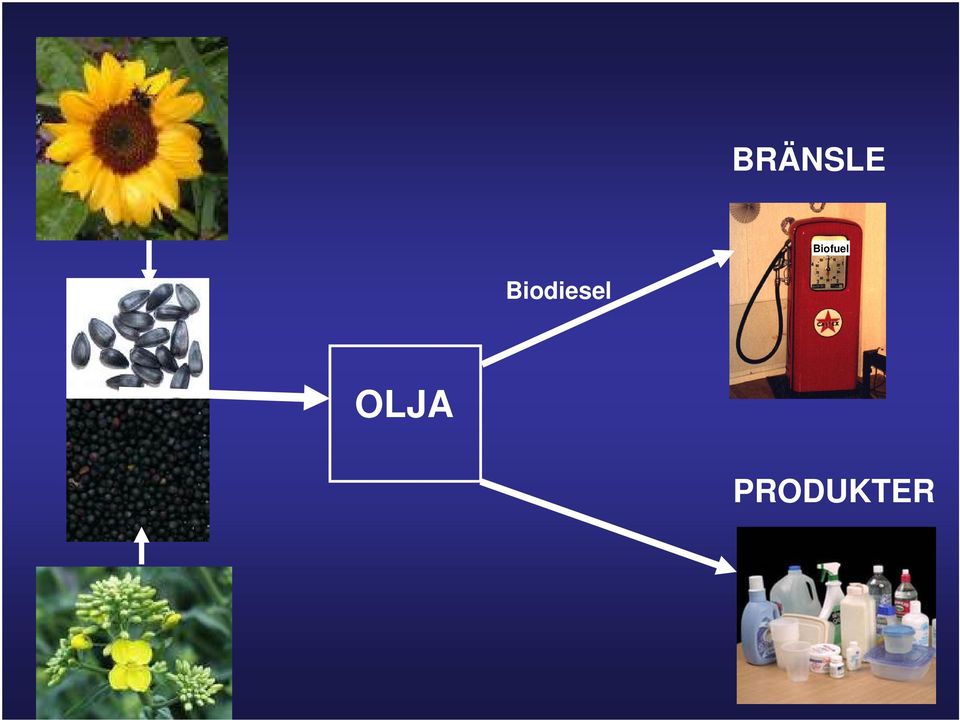 Biodiesel