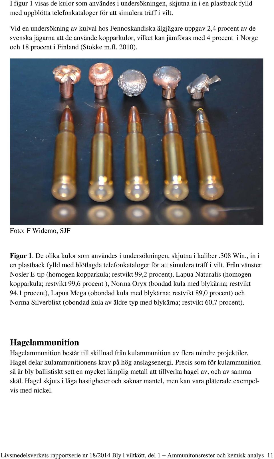 (Stokke m.fl. 2010). Foto: F Widemo, SJF Figur 1. De olika kulor som användes i undersökningen, skjutna i kaliber.308 Win.