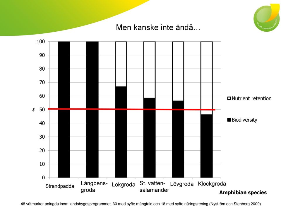 Lövgroda arborea B.